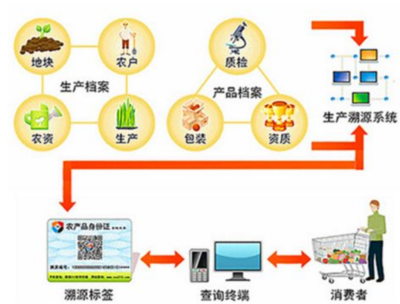 種子溯源系統的流程與技術咨詢服務要點解析